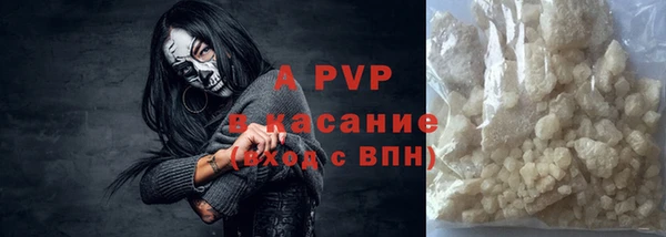 индика Волоколамск