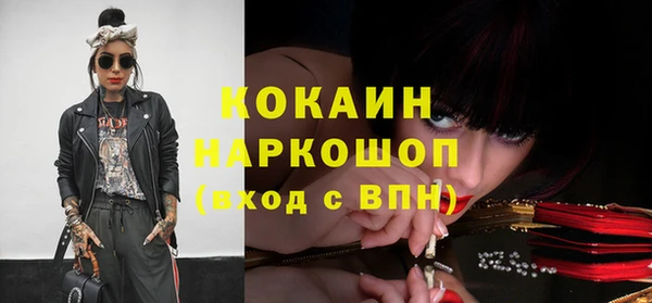 индика Волоколамск