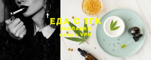 индика Волоколамск
