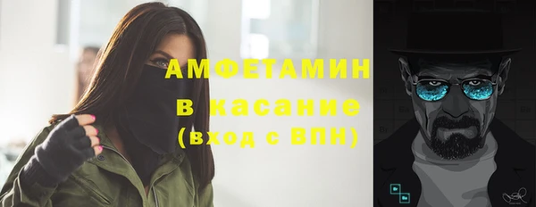 индика Волоколамск