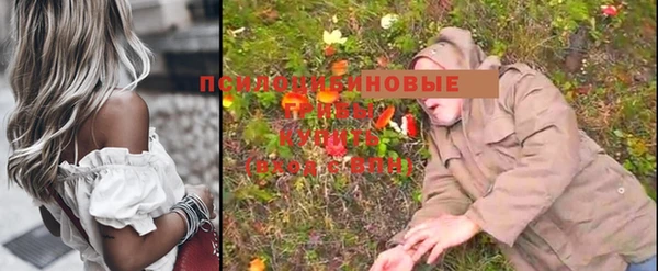 эйфоретик Волосово