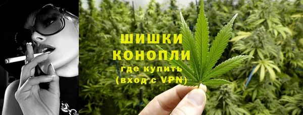 индика Волоколамск