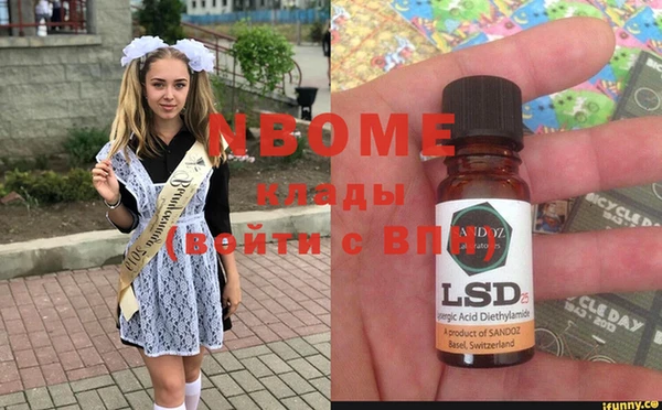 индика Волоколамск