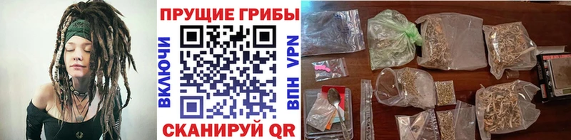 Галлюциногенные грибы мицелий  Иваново 